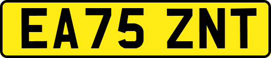 EA75ZNT