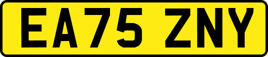 EA75ZNY