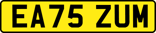 EA75ZUM