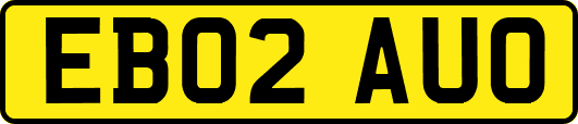 EB02AUO
