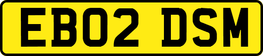 EB02DSM