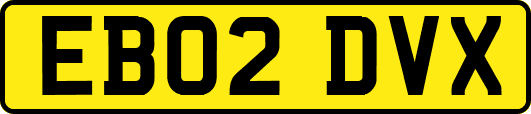 EB02DVX