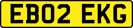 EB02EKG