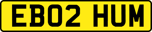 EB02HUM