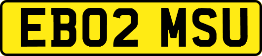 EB02MSU