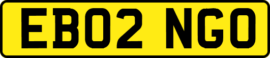 EB02NGO