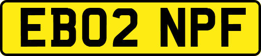 EB02NPF