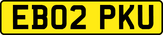 EB02PKU