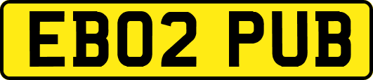 EB02PUB