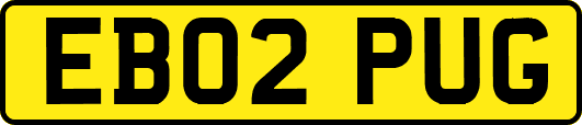 EB02PUG
