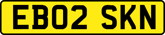 EB02SKN