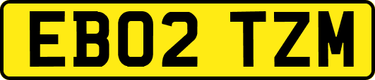 EB02TZM