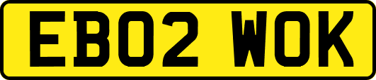 EB02WOK