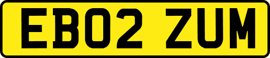 EB02ZUM