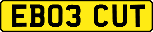 EB03CUT
