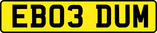 EB03DUM