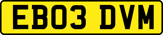 EB03DVM