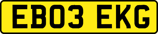 EB03EKG