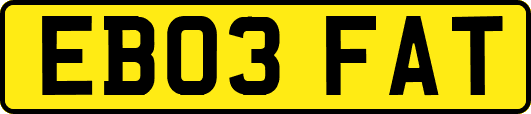 EB03FAT