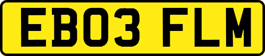 EB03FLM