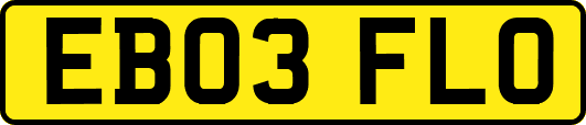 EB03FLO