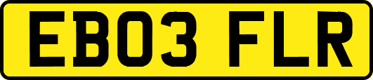 EB03FLR