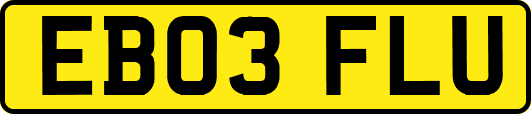EB03FLU