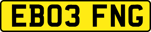 EB03FNG