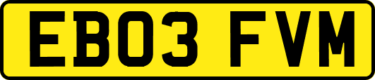 EB03FVM