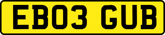 EB03GUB
