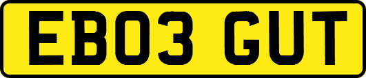 EB03GUT