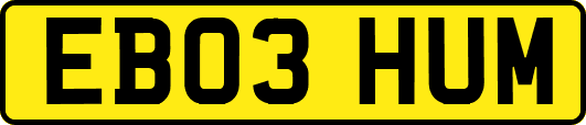 EB03HUM
