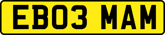 EB03MAM