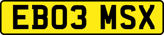 EB03MSX