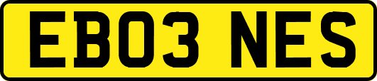 EB03NES