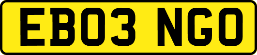 EB03NGO
