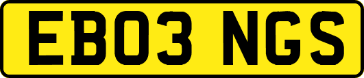 EB03NGS