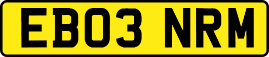 EB03NRM