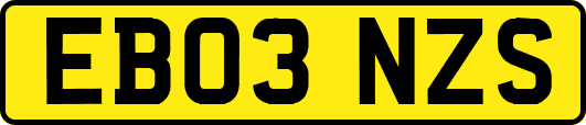 EB03NZS