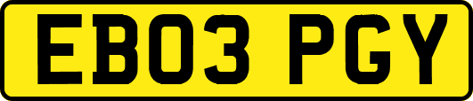 EB03PGY