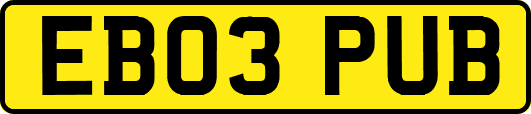 EB03PUB