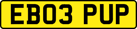 EB03PUP