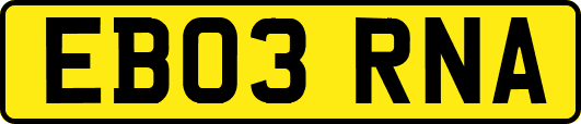 EB03RNA
