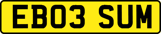 EB03SUM