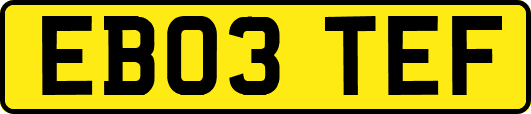 EB03TEF