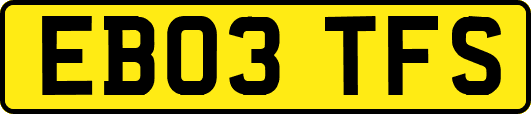 EB03TFS