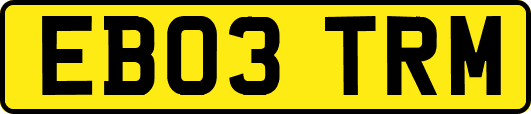 EB03TRM