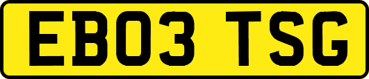 EB03TSG