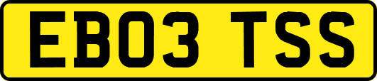 EB03TSS
