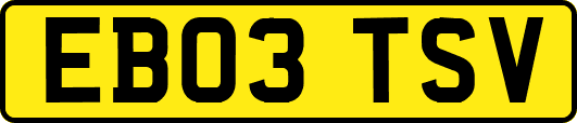 EB03TSV